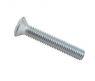 Screw M4x25 - lenticular head with groove