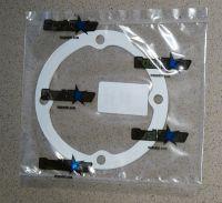 Filter Insert Gasket - MZ